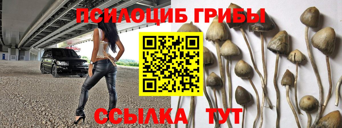 Туапсе  как найти наркотики  Вход с VPN  Галлюциногенные грибы мицелий 