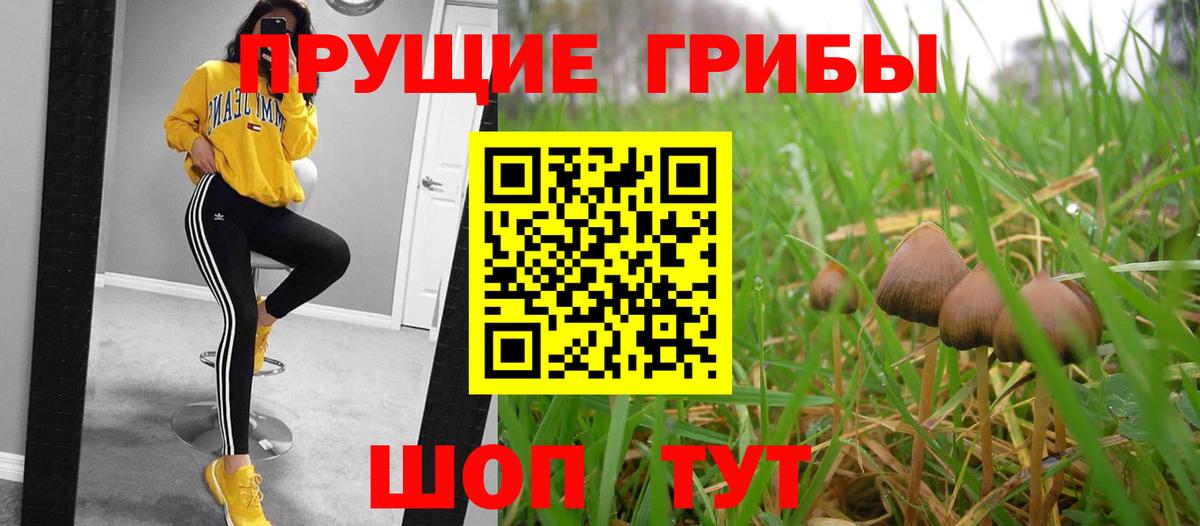 Псилоцибиновые грибы Magic Shrooms Туапсе